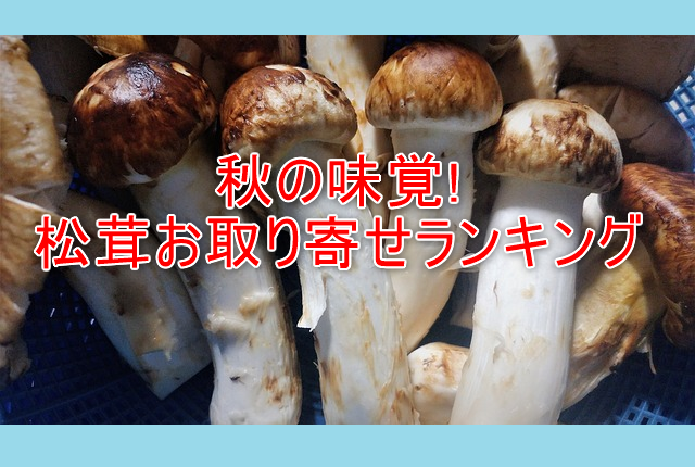 松茸のお取り寄せランキングベスト5 秋の味覚を厳選します ぐるめタンサック